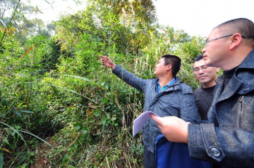 福建霞浦:阳光公示生态公益林补偿金