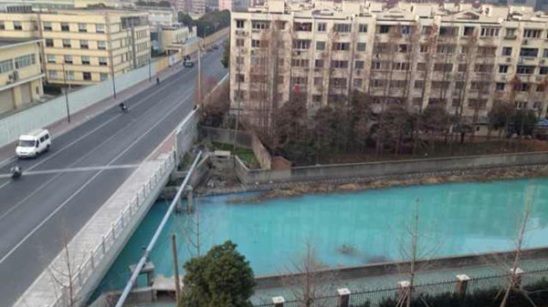 沪长桥水厂周边河道泛绿 回应:不算污染